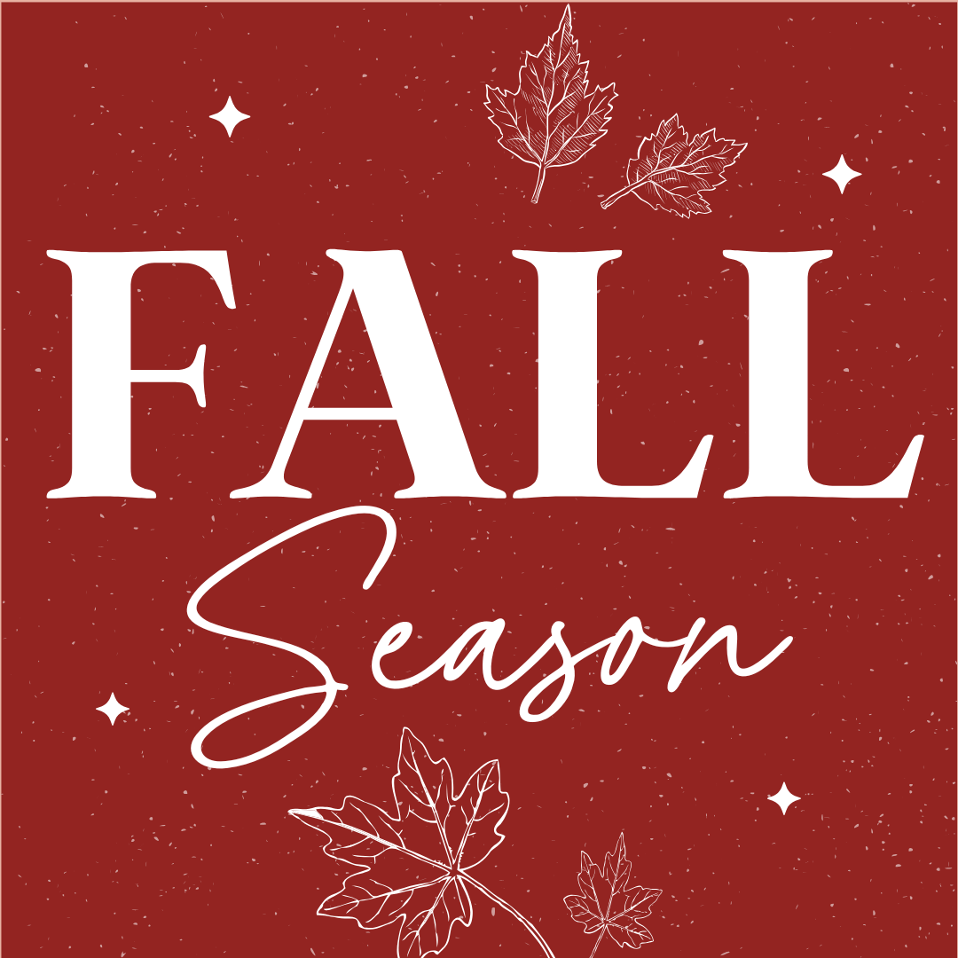 Seasonal & Holidays