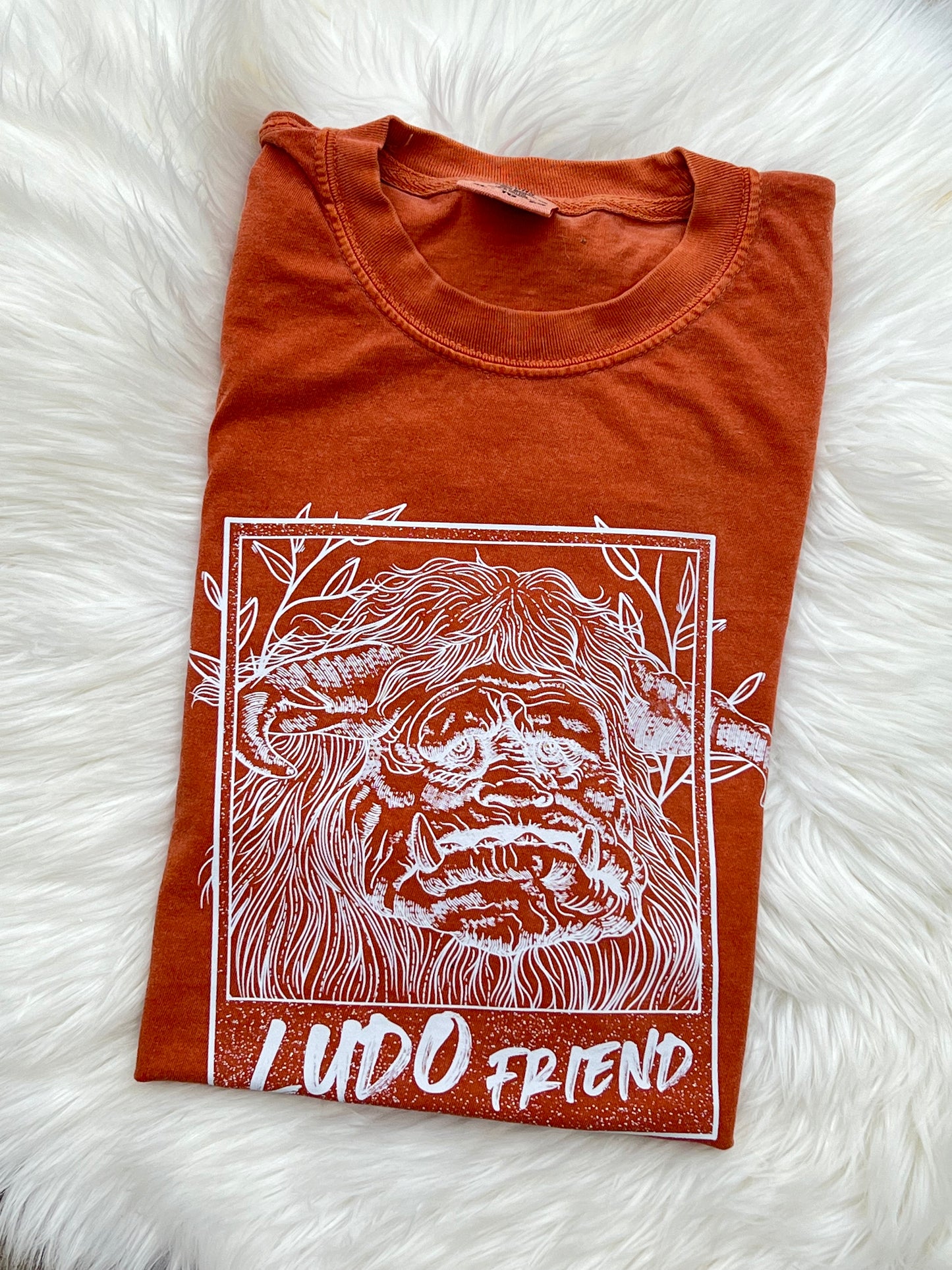 Ludo, Friend
