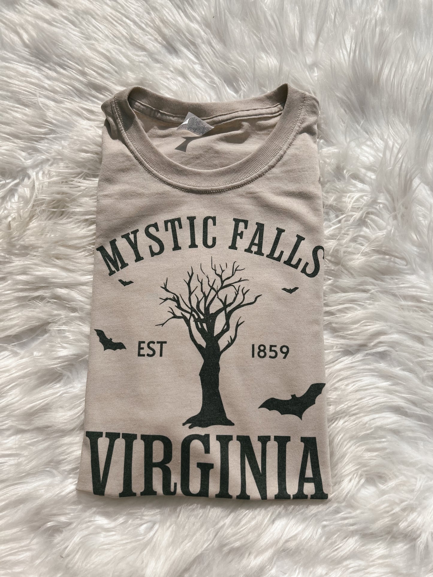 Mystic Falls Virginia
